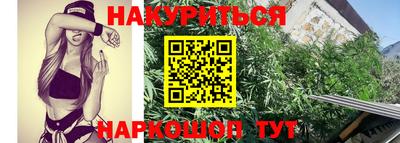гидра Гай