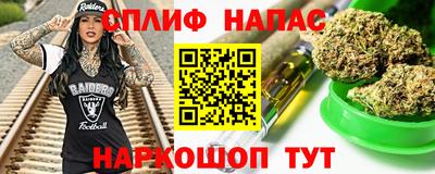 бошки Гагарин
