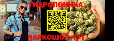 гидра Гай