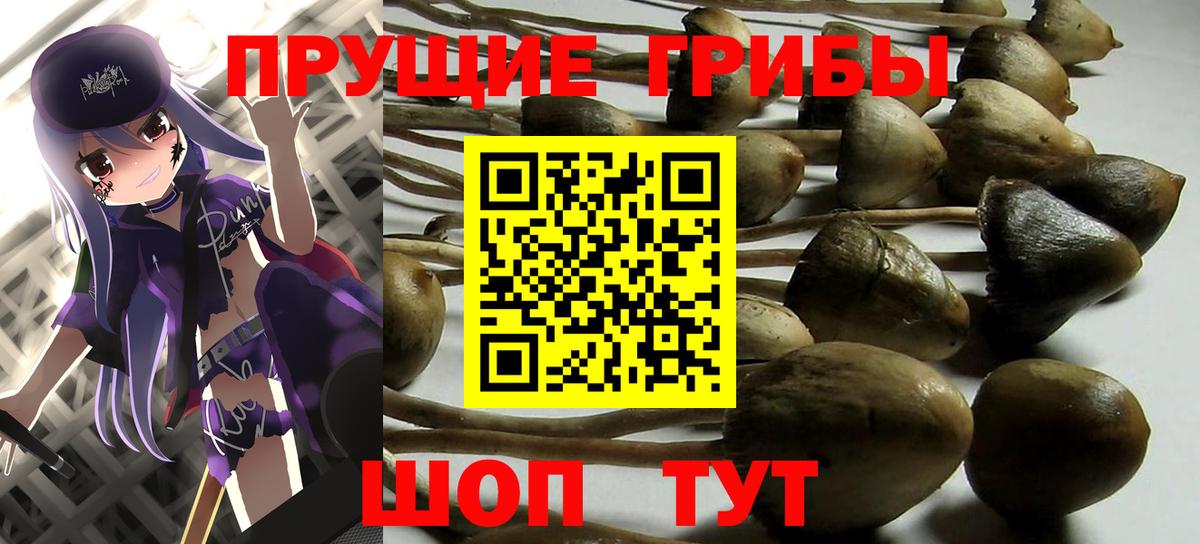 Псилоцибиновые грибы GOLDEN TEACHER Клин